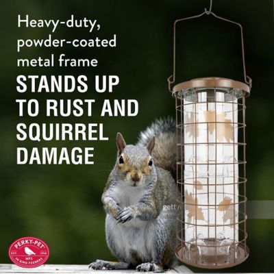 Image showing  3 lb. Squirrel Stumper Hanging Bird Feeder