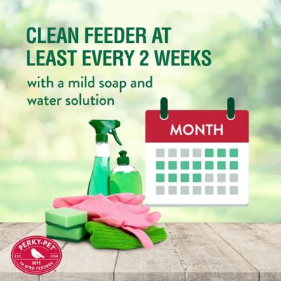 Image showing 6 th Perky-Pet 3 lb. Squirrel Stumper Hanging Bird Feeder