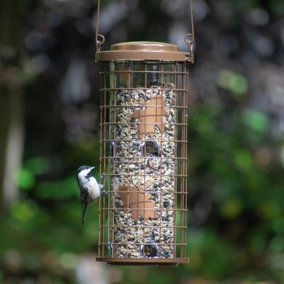 Image showing 7 th Perky-Pet 3 lb. Squirrel Stumper Hanging Bird Feeder