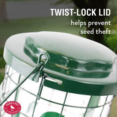 Image showing  3 lb. Squirrel Stumper Bird Feeder, Green