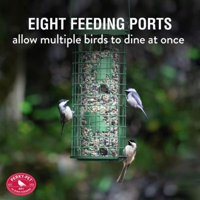 Image showing  3 lb. Squirrel Stumper Bird Feeder, Green