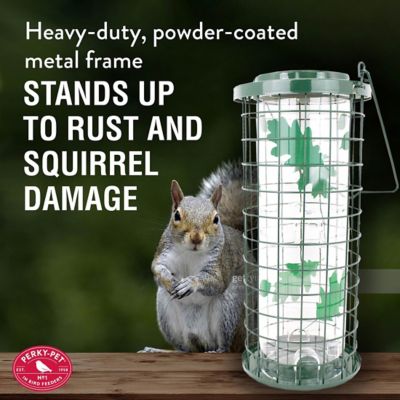 Image showing  3 lb. Squirrel Stumper Bird Feeder, Green