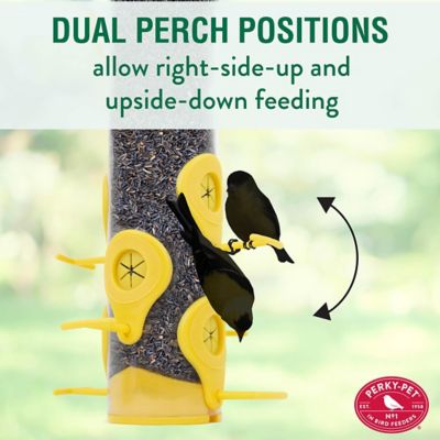 Image showing  1.5 lb. Finch Bird Feeder