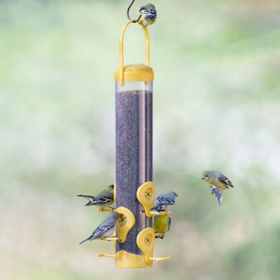 Image showing 7 th Perky-Pet 1.5 lb. Finch Bird Feeder
