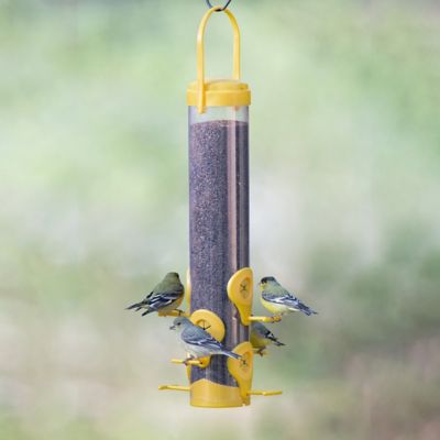 Image showing 9 th Perky-Pet 1.5 lb. Finch Bird Feeder