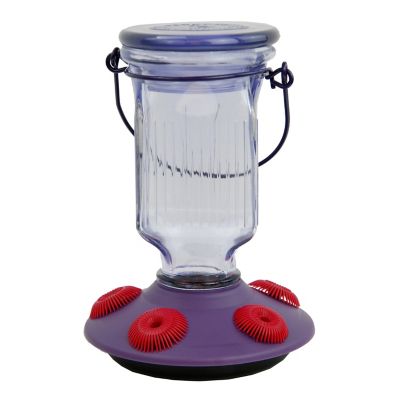 Perky-Pet Lavender Field Top-Fill Glass Hummingbird Feeder, 16 oz. Capacity 