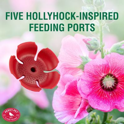 Image showing  36 oz. Prohibition Top-Fill Glass Hummingbird Feeder