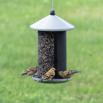 Image showing  Dual Mesh Seed Bird Feeder, 2.85 lb. Capacity