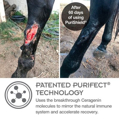 Image showing  Purishield Wound and Skin Intensive Care Gel for Horses and More, 12 oz.
