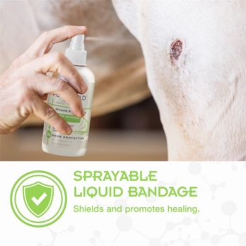 Liquid bandage dog outlet nail