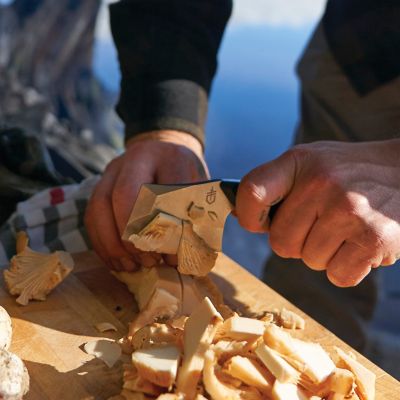 Image showing 6 th Gerber TRI-Tip Mini Cleaver