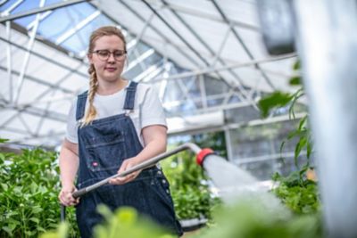 Image showing 2 th Dickies Women's Short-Sleeve Heavyweight T-Shirt