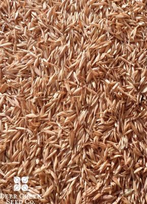 DLF 25 lb. 43,560 sq. ft. Bromegrass UN CTD Lime (34%)