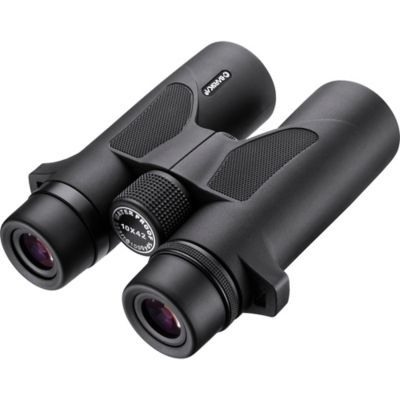 Image showing  10x 42mm Waterproof Level HD Binoculars