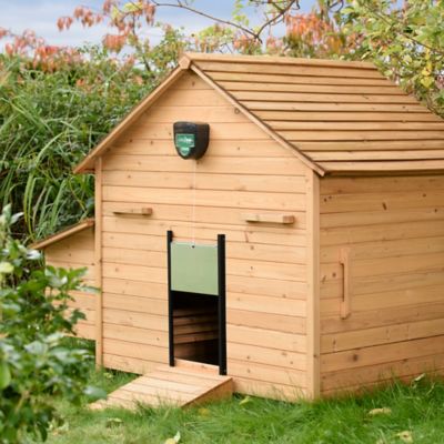 Image showing  ChickSafe Eco Automatic Coop Opener