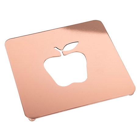 Creative Home 7.5 in. Square Trivet with Apple Motif