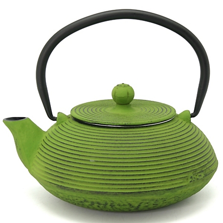 Creative Home 20 oz. Kyusu Cast-Iron Tea Pot with Infuser, Green