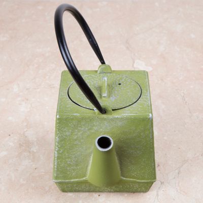 Image showing  28 oz. Cast-Iron Tea Pot with Infuser, Silver/Green