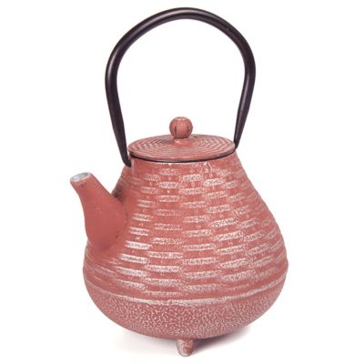Creative Home 40 oz. Cast-Iron Tea Pot with Infuser, Silver/Orange