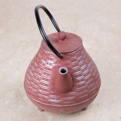 Image showing  40 oz. Cast-Iron Tea Pot with Infuser, Silver/Orange