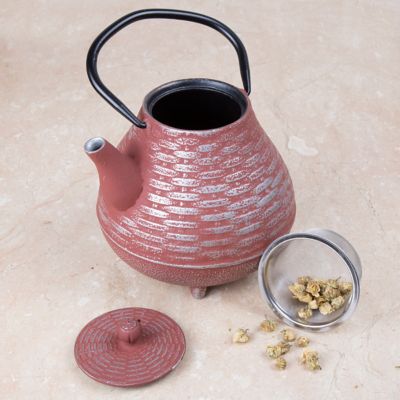 Image showing  40 oz. Cast-Iron Tea Pot with Infuser, Silver/Orange