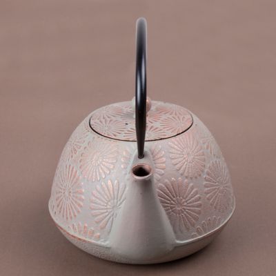 Image showing  40 oz. Cast-Iron Tea Pot with Infuser, Gold/Grey
