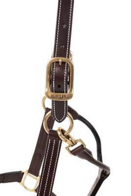 Image showing 5 th Huntley Equestrian Leather Triple-Stitched Horse Halter