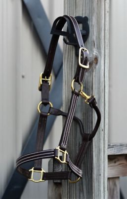 Image showing 9 th Huntley Equestrian Leather Triple-Stitched Horse Halter