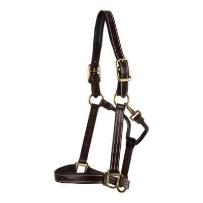 Huntley Equestrian Leather Fancy-Stitched Padded Horse Halter