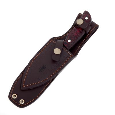 Image showing  3.5 in. Stainless-Steel Gut Hook Hunter Knife