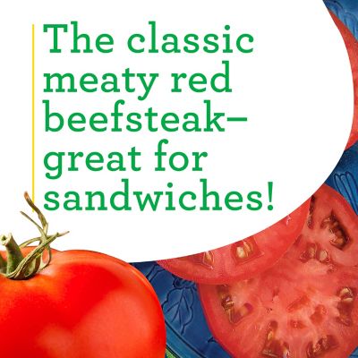 Image showing  19.3 oz. Red Beefsteak Tomato Plants, 2 pk.