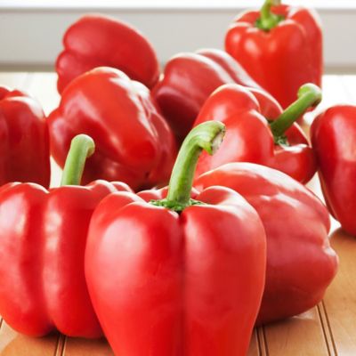 Image showing  19.3 oz. Potted Red Bell Peppers Plants, 2 pk.