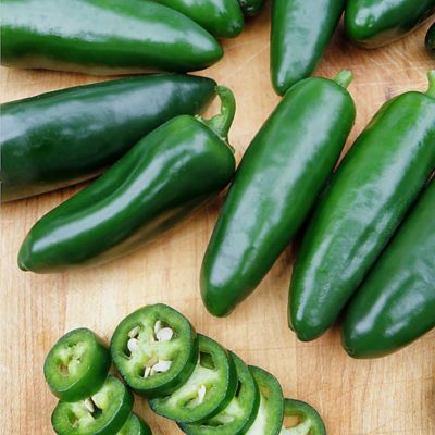 Image showing  19.3 oz. Potted Jalapeno Peppers Plants, 2 pk.