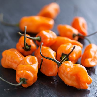 Image showing  19.3 oz. Habanero Pepper Plants, 2 pk.
