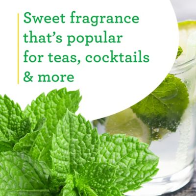 Image showing  19.3 oz. Potted Spearmint Plants, 2 pc.