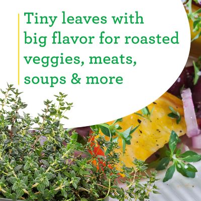 Image showing  19.3 oz. Potted German Thyme Plants, 2 pc.