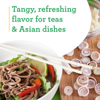 Image showing  2.32 qt. Potted Lemongrass Plant, PREMGAL5201