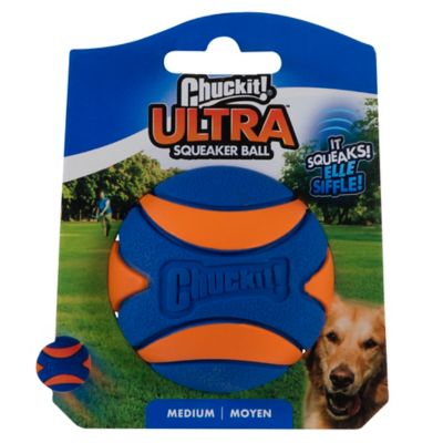 Chuckit! Ultra Squeaker Ball Dog Toy