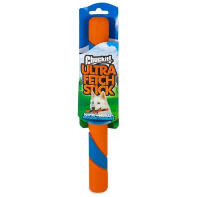 image of a Dog Fetch Sticks