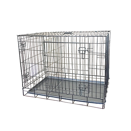 KennelMaster 2-Door Metal Folding Pet Kennel Pet Crate, 30 in.