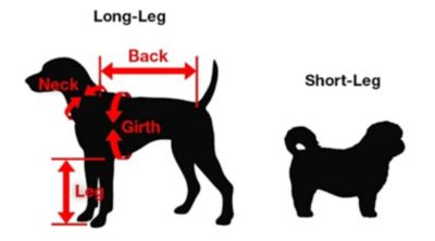 Image showing  Zippy Full Body Dog Suit