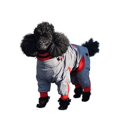 Image showing  Zippy Full Body Dog Suit