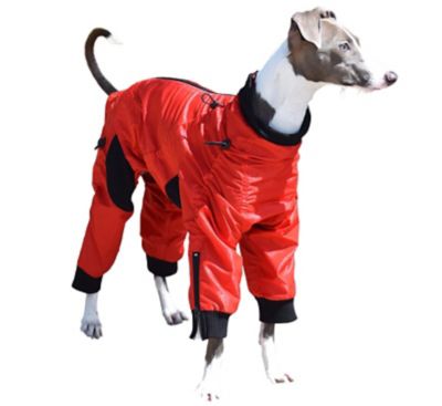 Zippy Dynamics Classy Full Body Dog Suit
