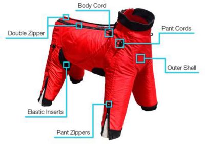 Image showing  Classy Full Body Dog Suit