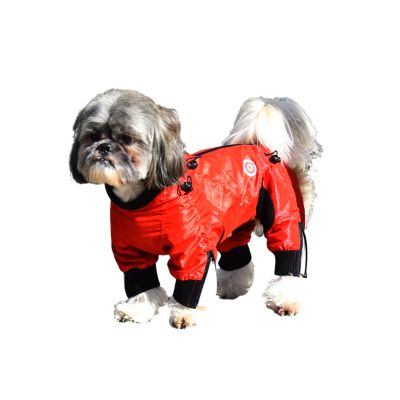 Image showing  Classy Full Body Dog Suit