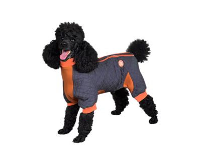 Zippy Dynamics Springy Dog Coat