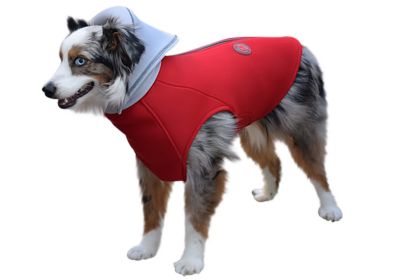 Image showing  Fiery Dog Vest