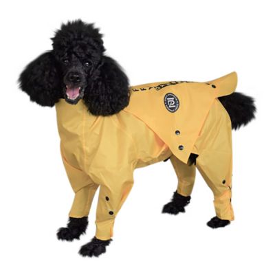 Zippy Dynamics Rainy Dog Raincoat