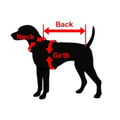 Image showing  Rainy Dog Raincoat