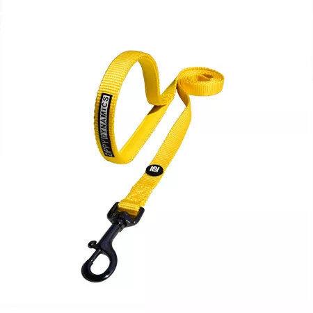 Zippy Dynamics Dog Leash 4 ft Yellow Dog Basic Leashes